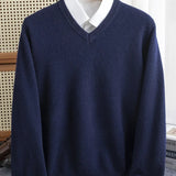 Men's V-Neck Knit Sweater