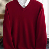 Men's V-Neck Knit Sweater