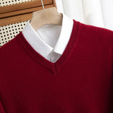 Men's V-Neck Knit Sweater