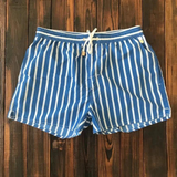 Men's Striped Drawstring Swim Shorts