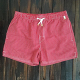 Men's Striped Drawstring Swim Shorts