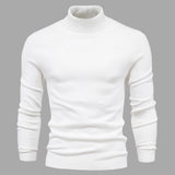 Men's Slim-Fit Roll Neck Long Sleeve Sweater