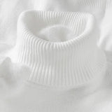 Men's Ribbed Turtleneck Knit Sweater