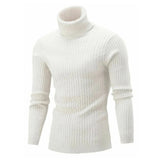 Men's Ribbed Turtleneck Knit Sweater