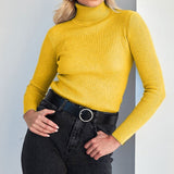 Women's Fitted Ribbed Turtleneck Knit Sweater