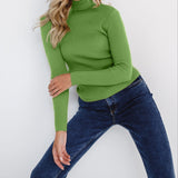 Women's Fitted Ribbed Turtleneck Knit Sweater