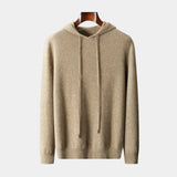 Men's Hooded Knit Pullover Sweater